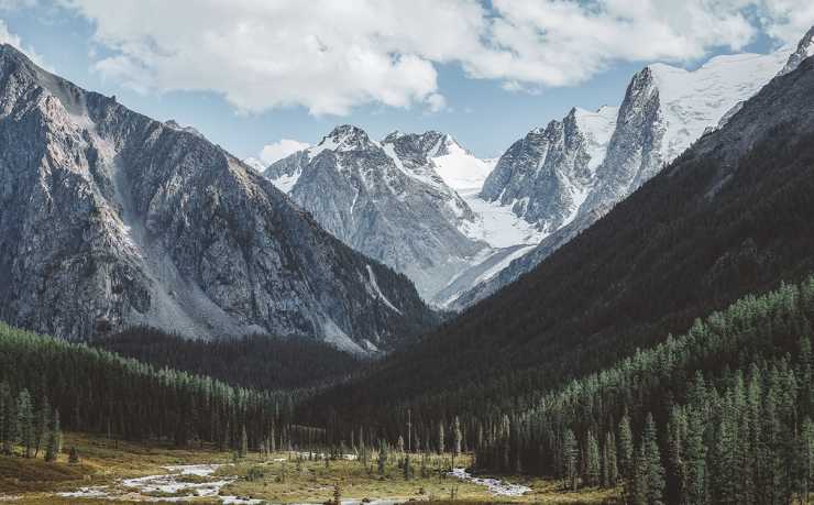 C罗2026世界杯表现预测：37岁传奇能否再创辉煌？